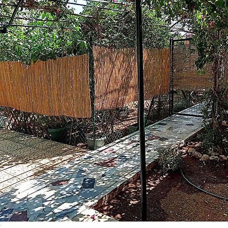 Εξοχικό Maria Villa Ambelakia Dış mekan fotoğraf