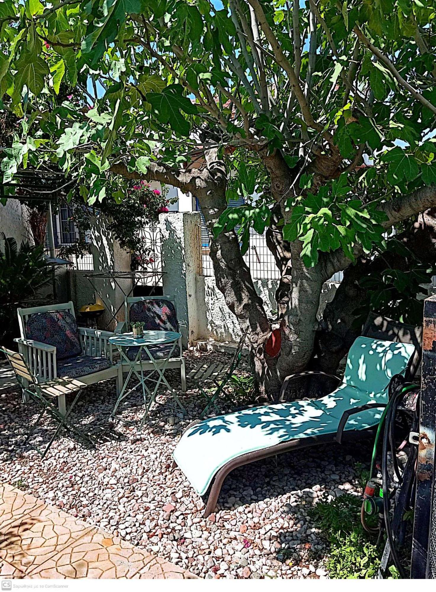 Εξοχικό Maria Villa Ambelakia Dış mekan fotoğraf
