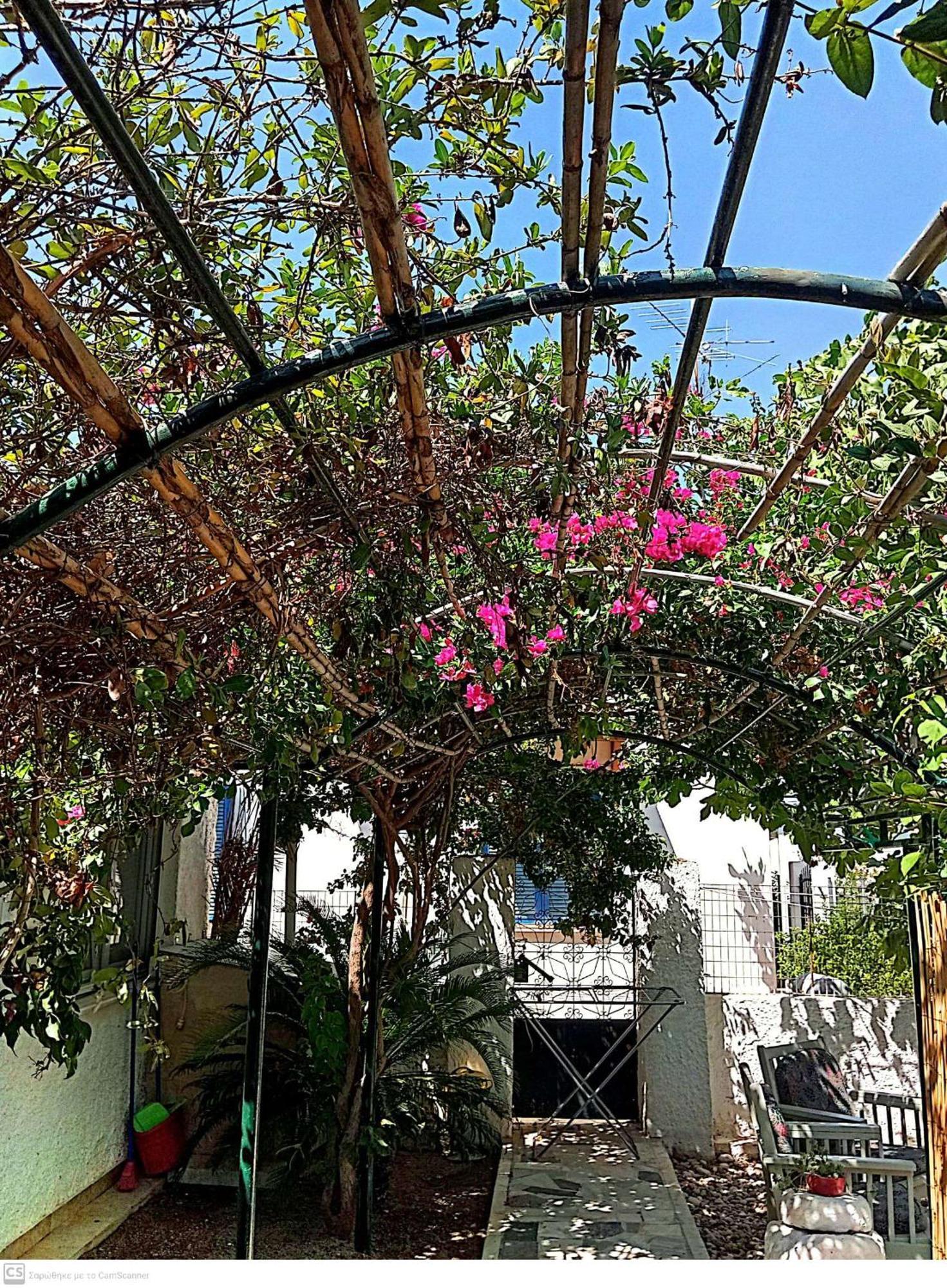 Εξοχικό Maria Villa Ambelakia Dış mekan fotoğraf