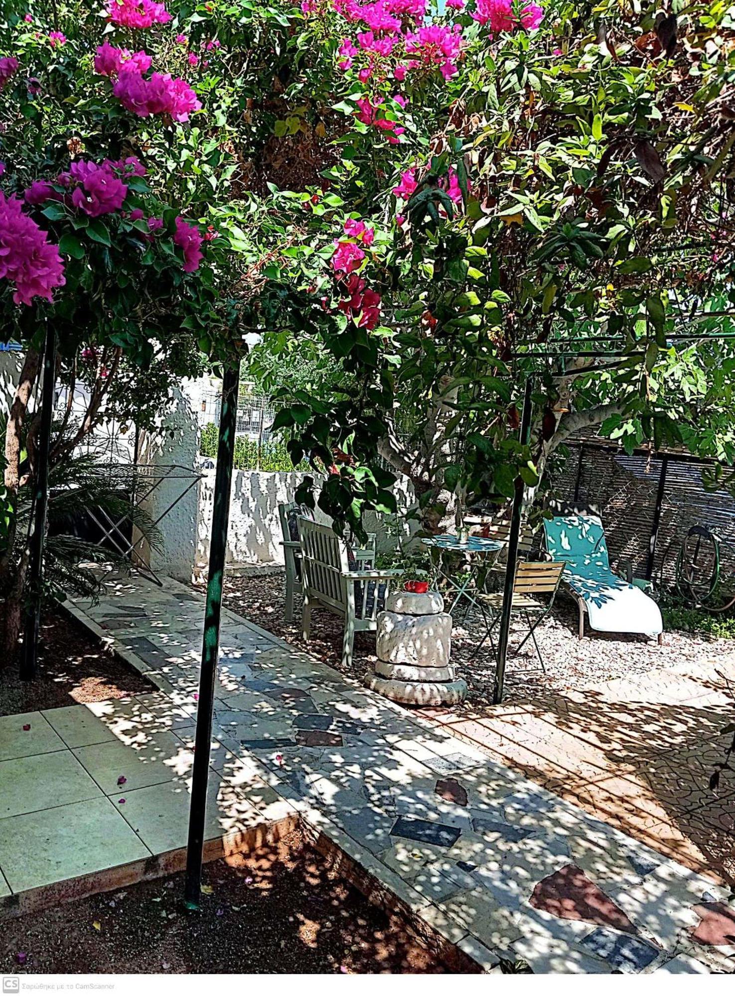 Εξοχικό Maria Villa Ambelakia Dış mekan fotoğraf
