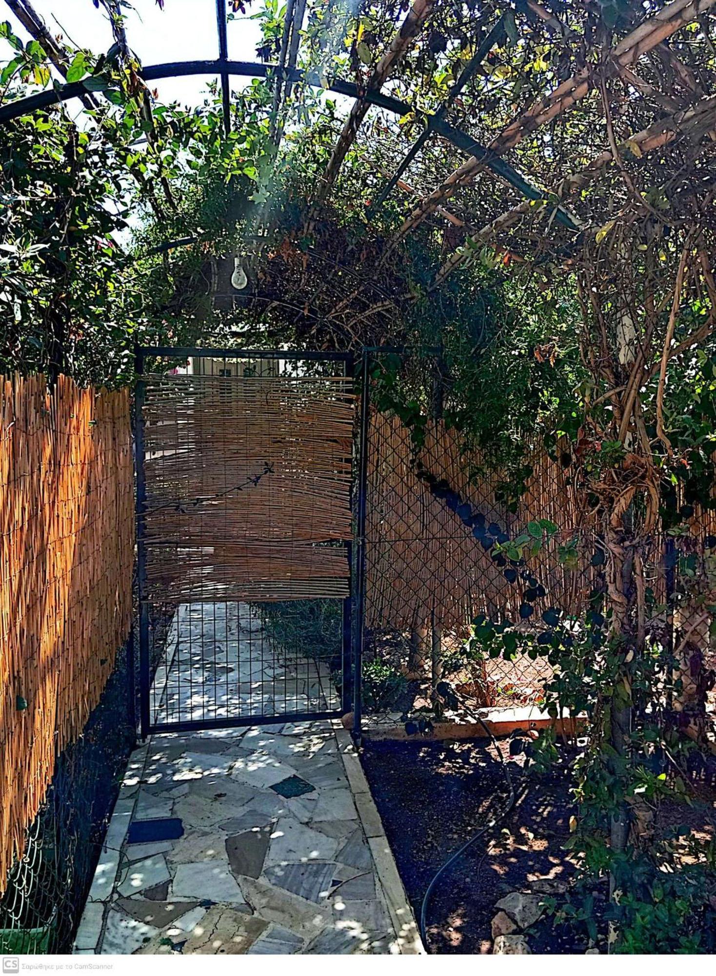 Εξοχικό Maria Villa Ambelakia Dış mekan fotoğraf